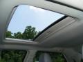 Magnesium Pearlcoat - 300 C HEMI Photo No. 22