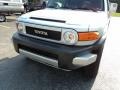 Titanium Metallic - FJ Cruiser 4WD Photo No. 33