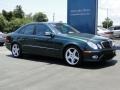 2009 Jade Green Metallic Mercedes-Benz E 350 Sedan  photo #12