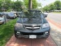 Sage Brush Pearl - MDX Touring Photo No. 2