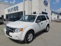 2009 White Suede Ford Escape XLT V6 4WD  photo #1