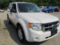 2009 White Suede Ford Escape XLT V6 4WD  photo #5