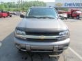 Graystone Metallic - TrailBlazer LS 4x4 Photo No. 4