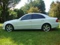 2009 Arctic White Mercedes-Benz E 550 4Matic Sedan  photo #14