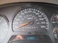 Graystone Metallic - TrailBlazer LS 4x4 Photo No. 25