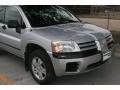 2004 Sterling Silver Metallic Mitsubishi Endeavor LS  photo #12