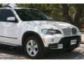 Alpine White - X5 4.8i Photo No. 12