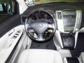 Millenium Silver Metallic - RX 350 Photo No. 14
