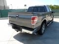 2011 Sterling Grey Metallic Ford F150 Texas Edition SuperCrew  photo #3