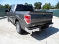 2011 Sterling Grey Metallic Ford F150 Texas Edition SuperCrew  photo #5