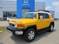 Sun Fusion - FJ Cruiser 4WD Photo No. 1