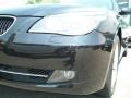 Jet Black - 5 Series 528xi Sedan Photo No. 30