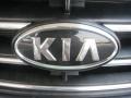 Alpine Gray - Sorento LX Photo No. 24