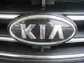 2008 Alpine Gray Kia Sorento LX  photo #24