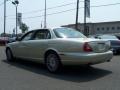 Winter Gold Metallic - XJ Vanden Plas Photo No. 4