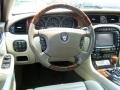 Winter Gold Metallic - XJ Vanden Plas Photo No. 23