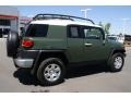 2010 Army Green Toyota FJ Cruiser 4WD  photo #2