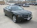 Brilliant Black Crystal Pearl - Charger Rallye Plus Photo No. 7