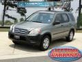 2006 Silver Moss Metallic Honda CR-V LX  photo #1