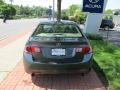 Polished Metal Metallic - TSX Sedan Photo No. 6