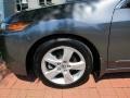 Polished Metal Metallic - TSX Sedan Photo No. 8
