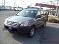 Pewter Pearl 2006 Honda CR-V LX 4WD