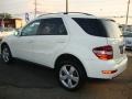 Arctic White - ML 350 4Matic Photo No. 3