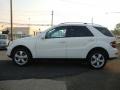 Arctic White - ML 350 4Matic Photo No. 6