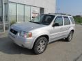 2003 Satin Silver Metallic Ford Escape Limited 4WD  photo #2