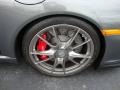 2010 Porsche 911 GT3 Wheel and Tire Photo