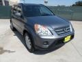 2005 Pewter Pearl Honda CR-V Special Edition 4WD  photo #1