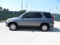 2005 Pewter Pearl Honda CR-V Special Edition 4WD  photo #6