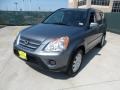 2005 Pewter Pearl Honda CR-V Special Edition 4WD  photo #7