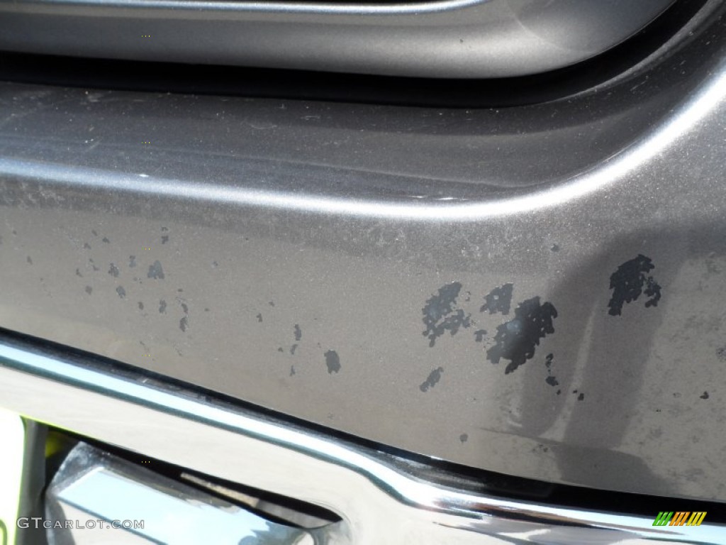 2006 F150 XLT SuperCrew - Dark Shadow Grey Metallic / Medium/Dark Flint photo #11