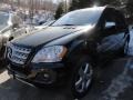 Black - ML 350 4Matic Photo No. 1