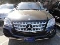 Black - ML 350 4Matic Photo No. 2