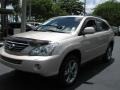 Savannah Metallic - RX 400h AWD Hybrid Photo No. 5