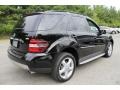 Black - ML 350 4Matic Photo No. 6