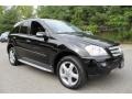 Black - ML 350 4Matic Photo No. 8