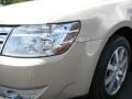 Dune Pearl Metallic - Taurus SEL Photo No. 4