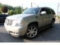 Quicksilver - Escalade AWD Photo No. 1