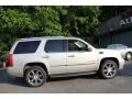 Quicksilver - Escalade AWD Photo No. 7