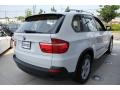 Alpine White - X5 3.0si Photo No. 6
