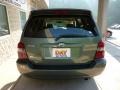 Oasis Green Pearl - Highlander Limited 4WD Photo No. 3