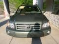 Oasis Green Pearl - Highlander Limited 4WD Photo No. 6