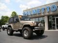 2004 Light Khaki Metallic Jeep Wrangler Sahara 4x4  photo #2