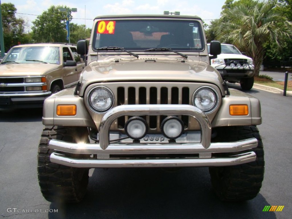 2004 Wrangler Sahara 4x4 - Light Khaki Metallic / Khaki photo #3