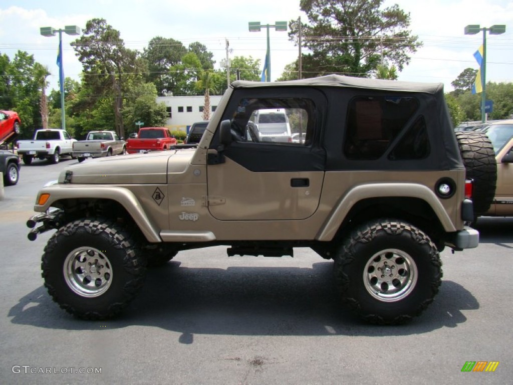 2004 Wrangler Sahara 4x4 - Light Khaki Metallic / Khaki photo #5