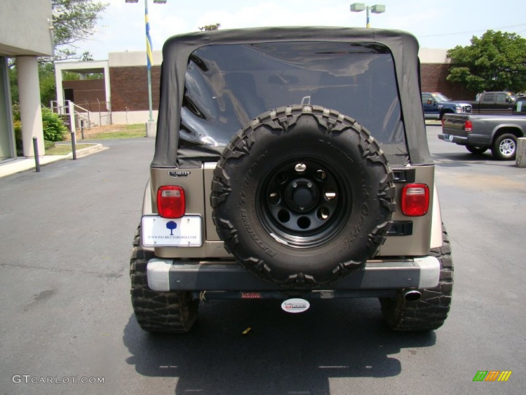 2004 Wrangler Sahara 4x4 - Light Khaki Metallic / Khaki photo #7