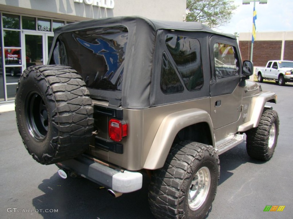 2004 Wrangler Sahara 4x4 - Light Khaki Metallic / Khaki photo #8